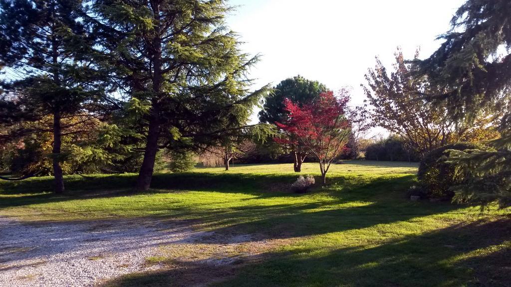 Al Campo Di Sotto Bed & Breakfast Buia Exterior foto